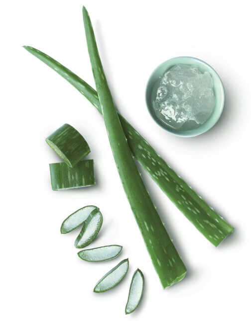 Aloe vera mahl